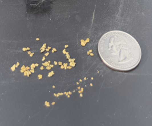 Digger's PayDirt - Gold Label Bag