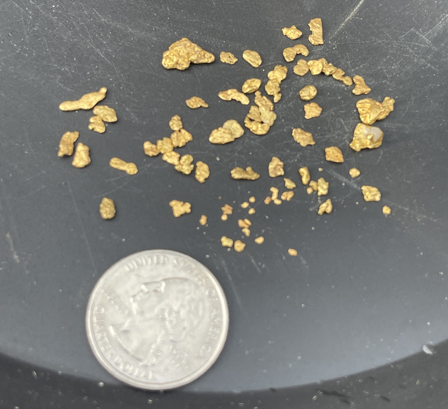 Gold Catcher Gold Pans