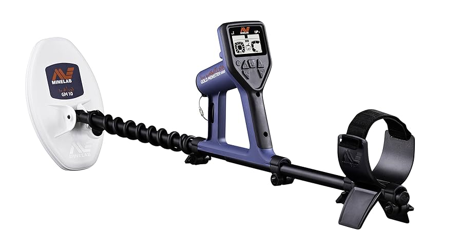 Metal Detector Rental